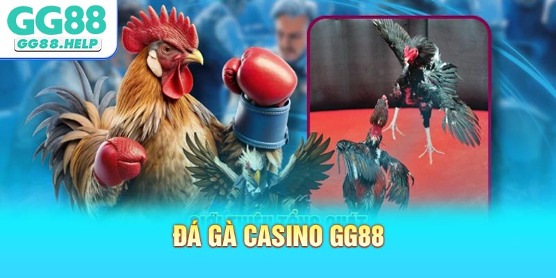 Đá Gà Casino GG88 - Sân Chơi Trực Tuyến Hấp Dẫn