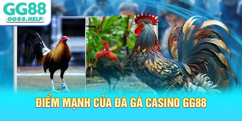 Điểm mạnh của Đá Gà Casino GG88