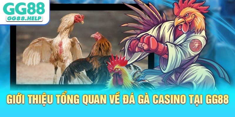 Giới thiệu tổng quan về Đá Gà Casino tại GG88